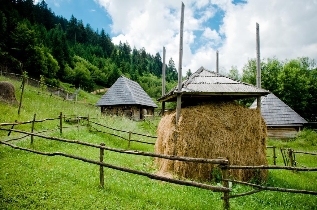 Hotel Stare Selo Koločava Exteriér fotografie