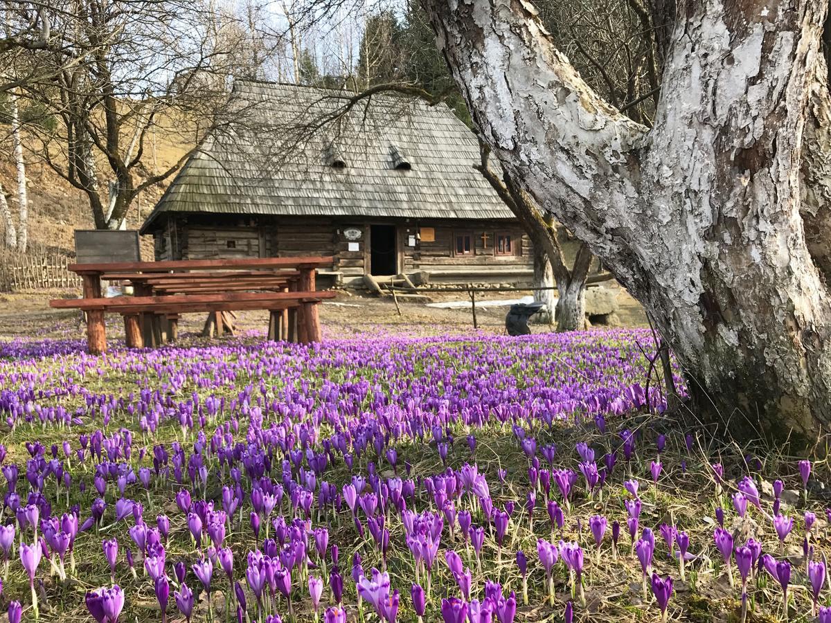 Hotel Stare Selo Koločava Exteriér fotografie