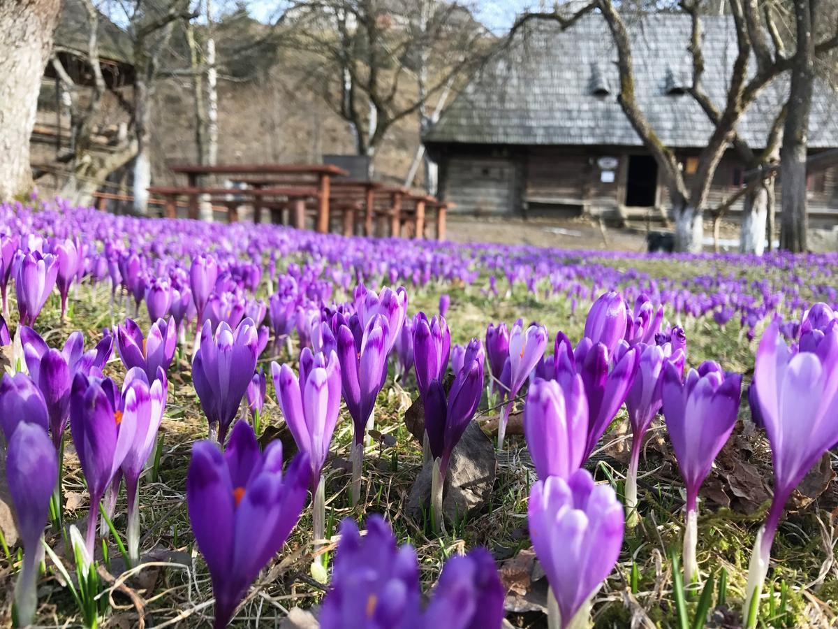 Hotel Stare Selo Koločava Exteriér fotografie